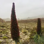 Casa Antonio - Sol